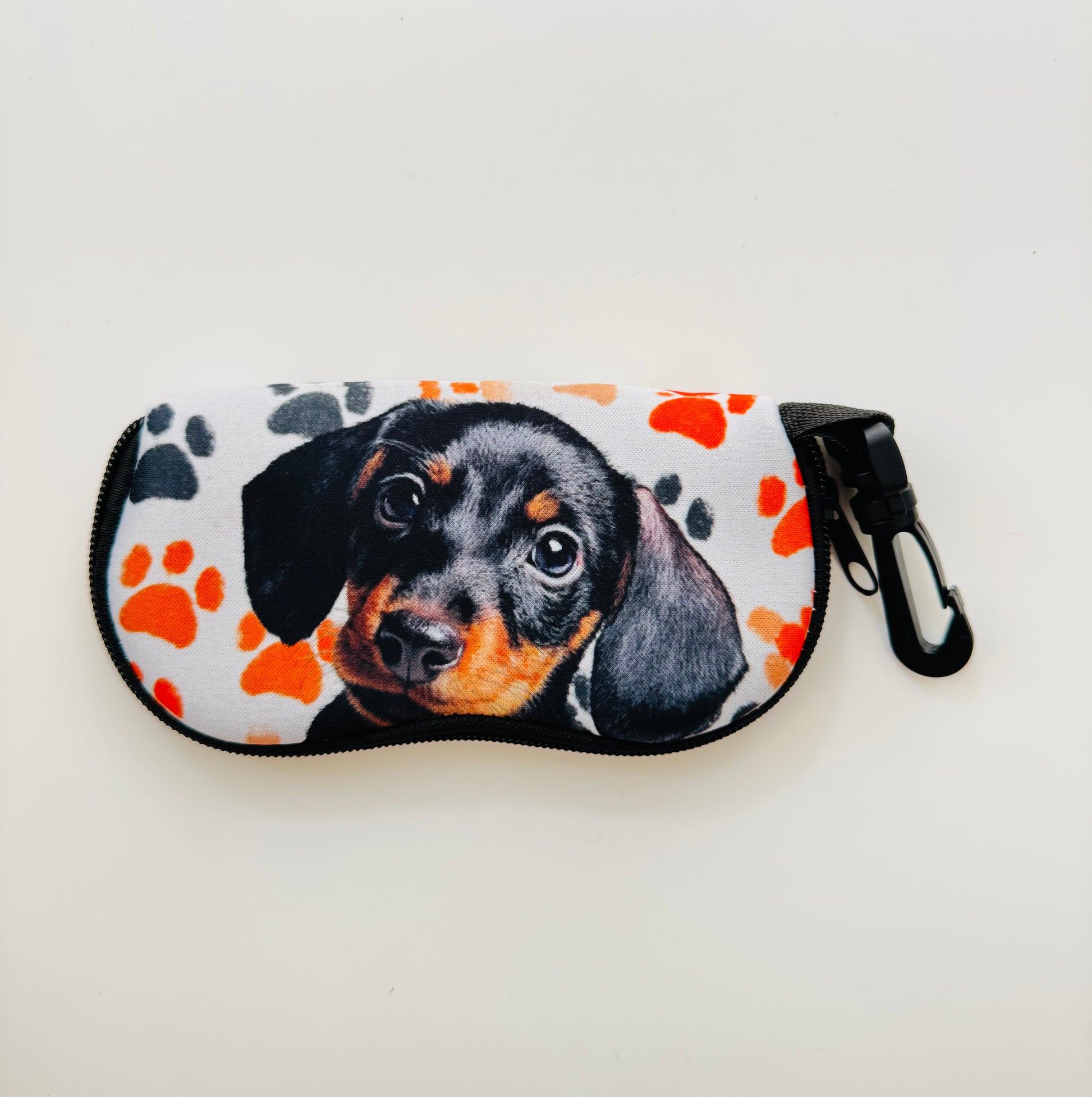Dachshund Glasses Case