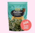 Graines de trèfle rouge germées (bio) 100 g 