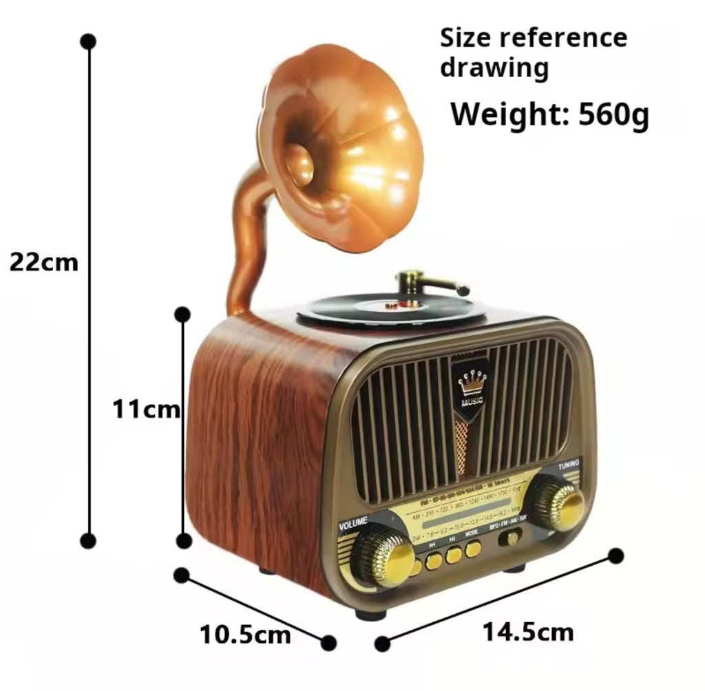 Portable FM Radio Bluetooth Speaker