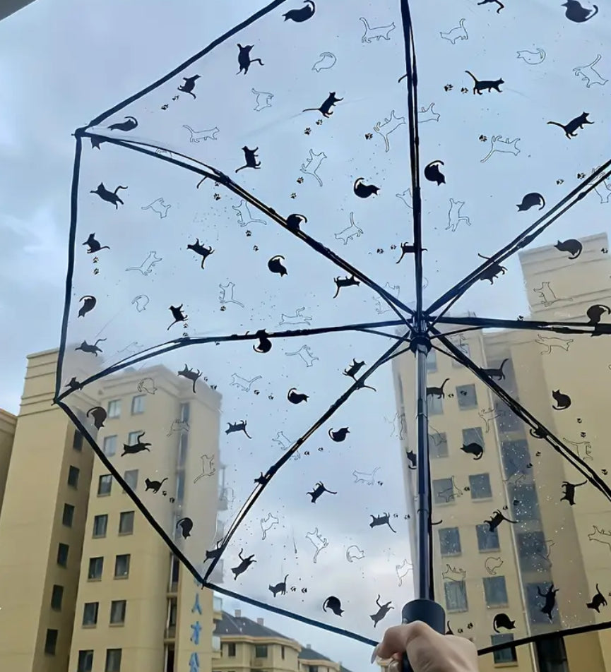 Parapluie transparent pour chat