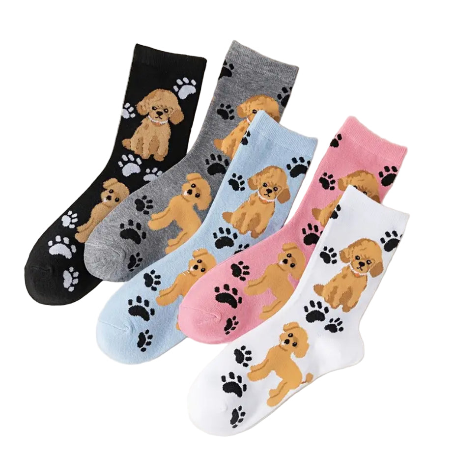 Poodle Cavoodle dog socks