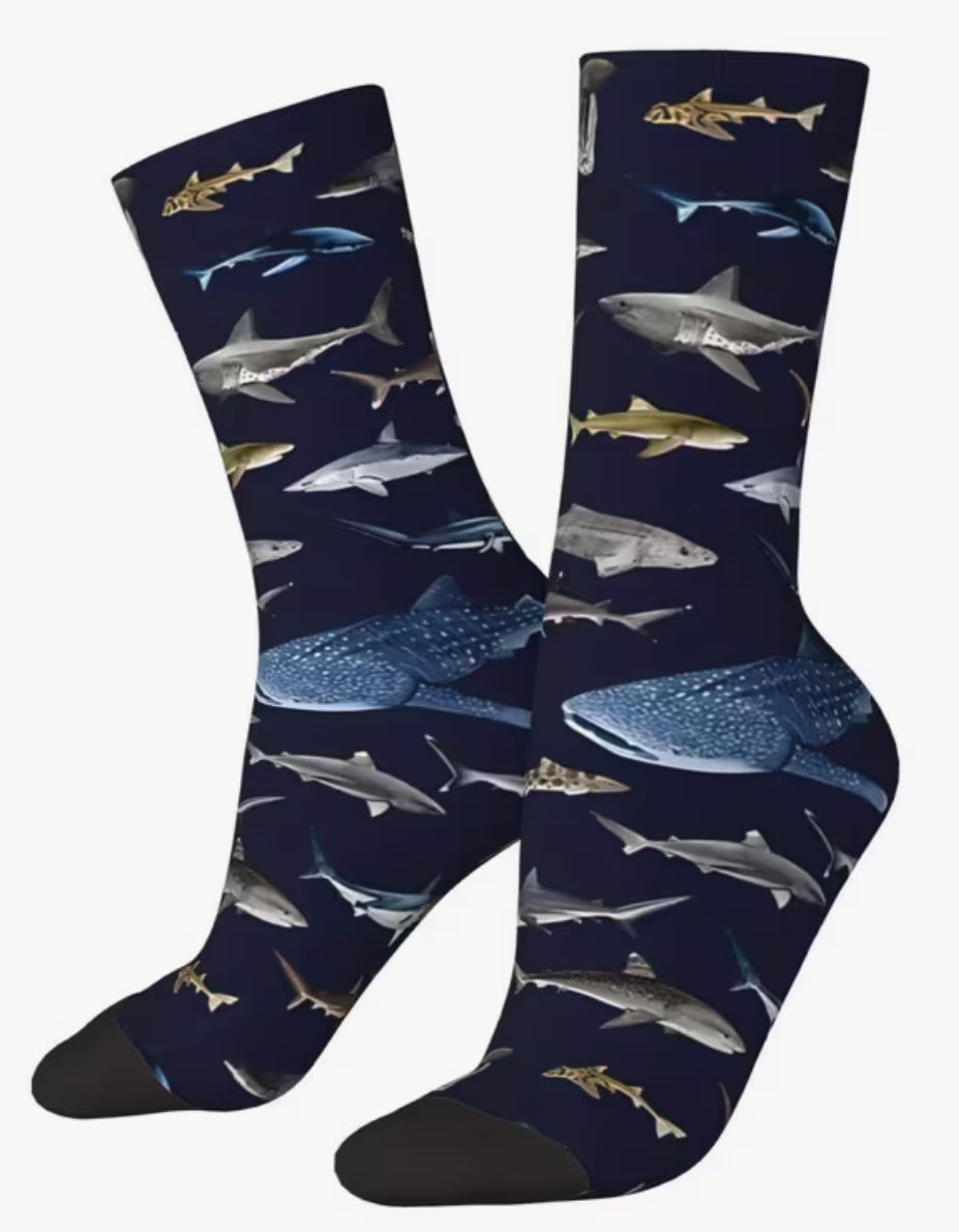 Sharks socks