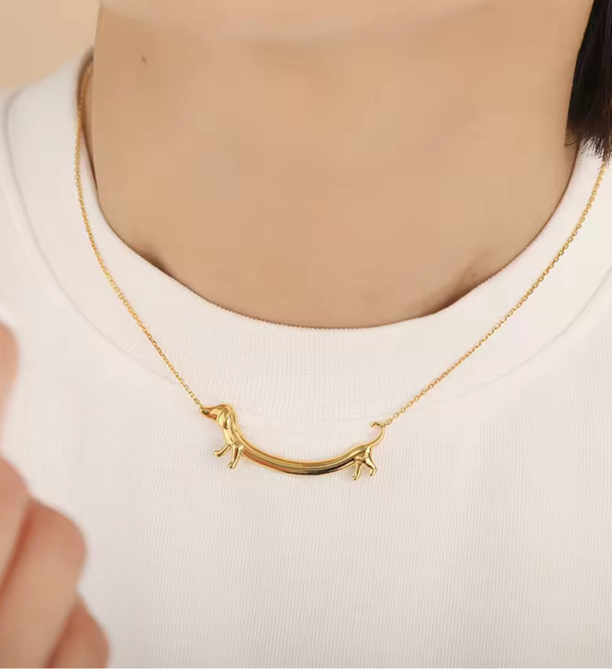 Collier teckel