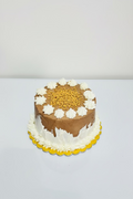 6 inch Iced Plant-Based Mud Cake (GF, V, EF, DF) - DOUBLE Layer