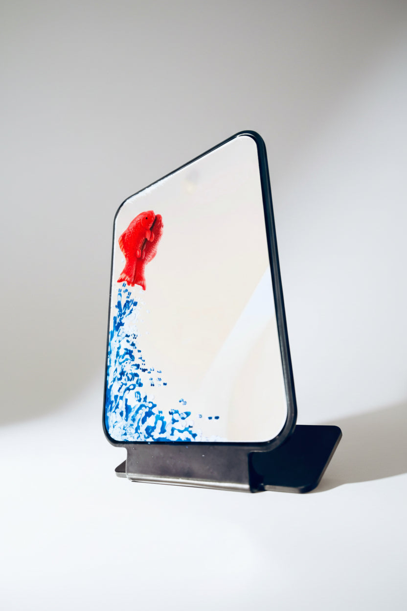 Fish Out of Water Mirror