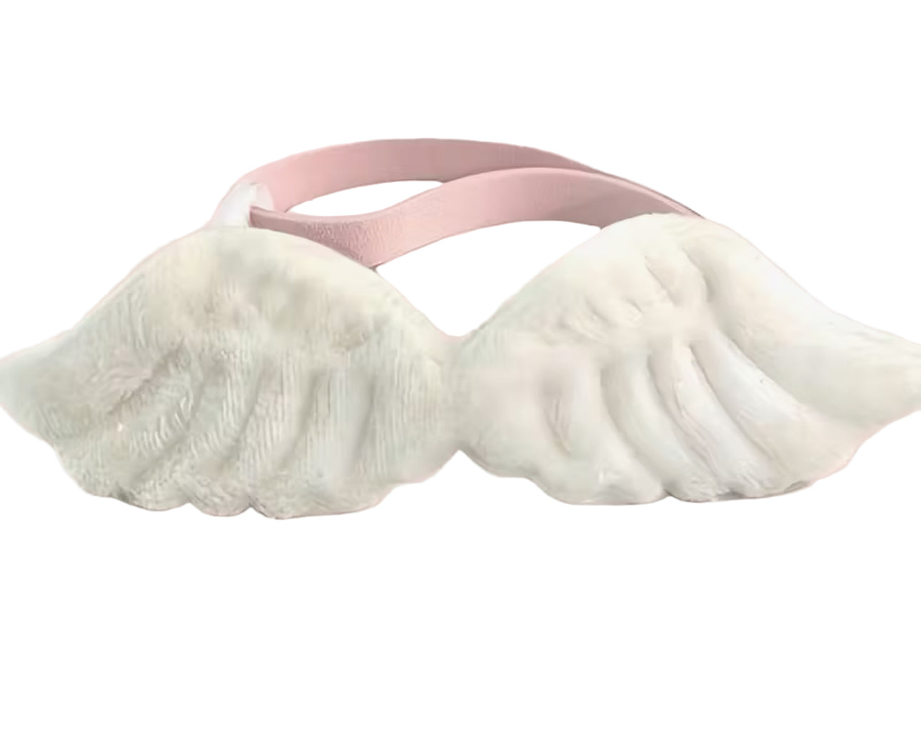 Angel Wings Collar
