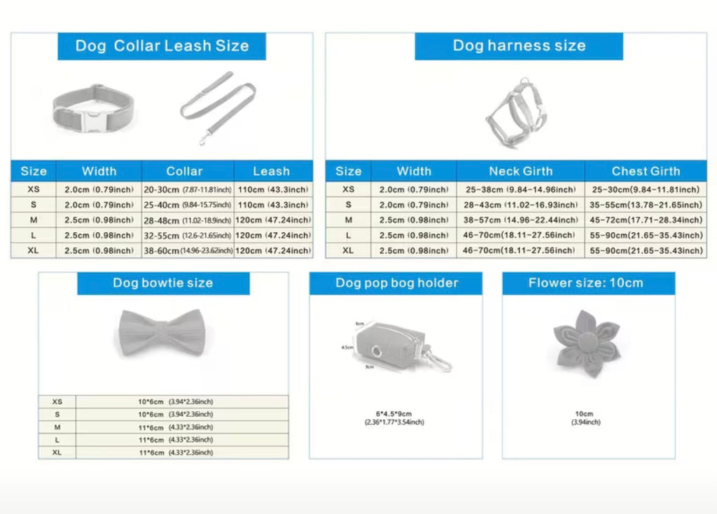 Daisy Collar, Bow with Leash (Set of 4)