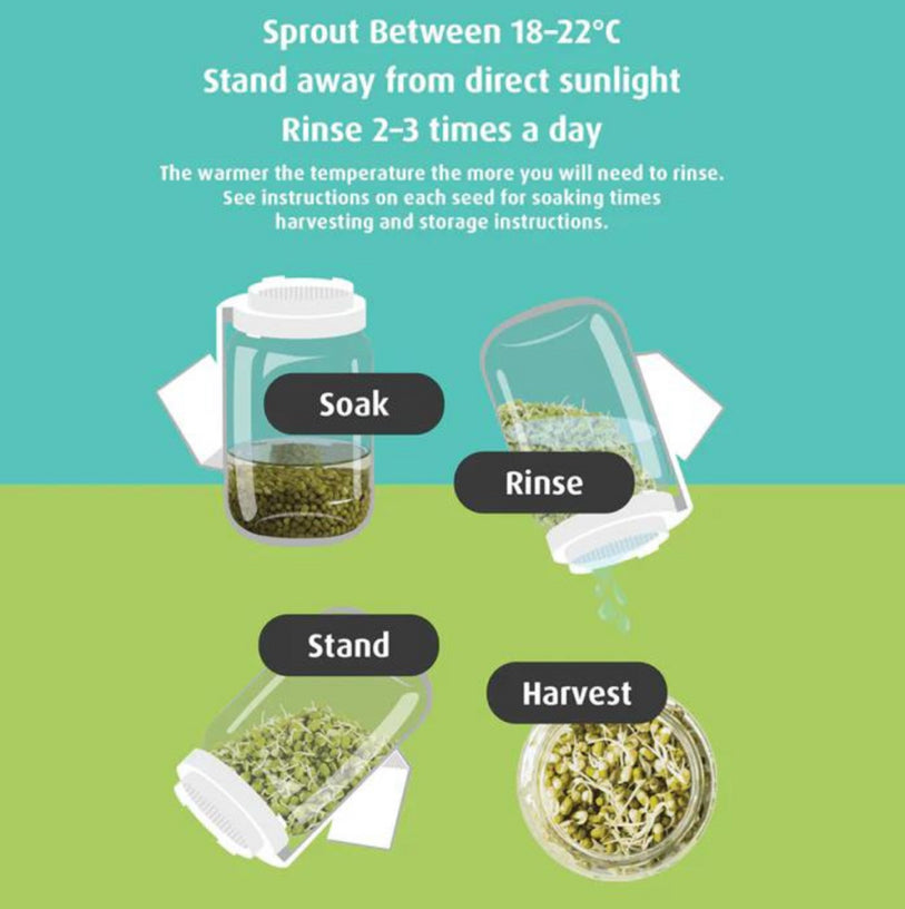 Sprout Germinator