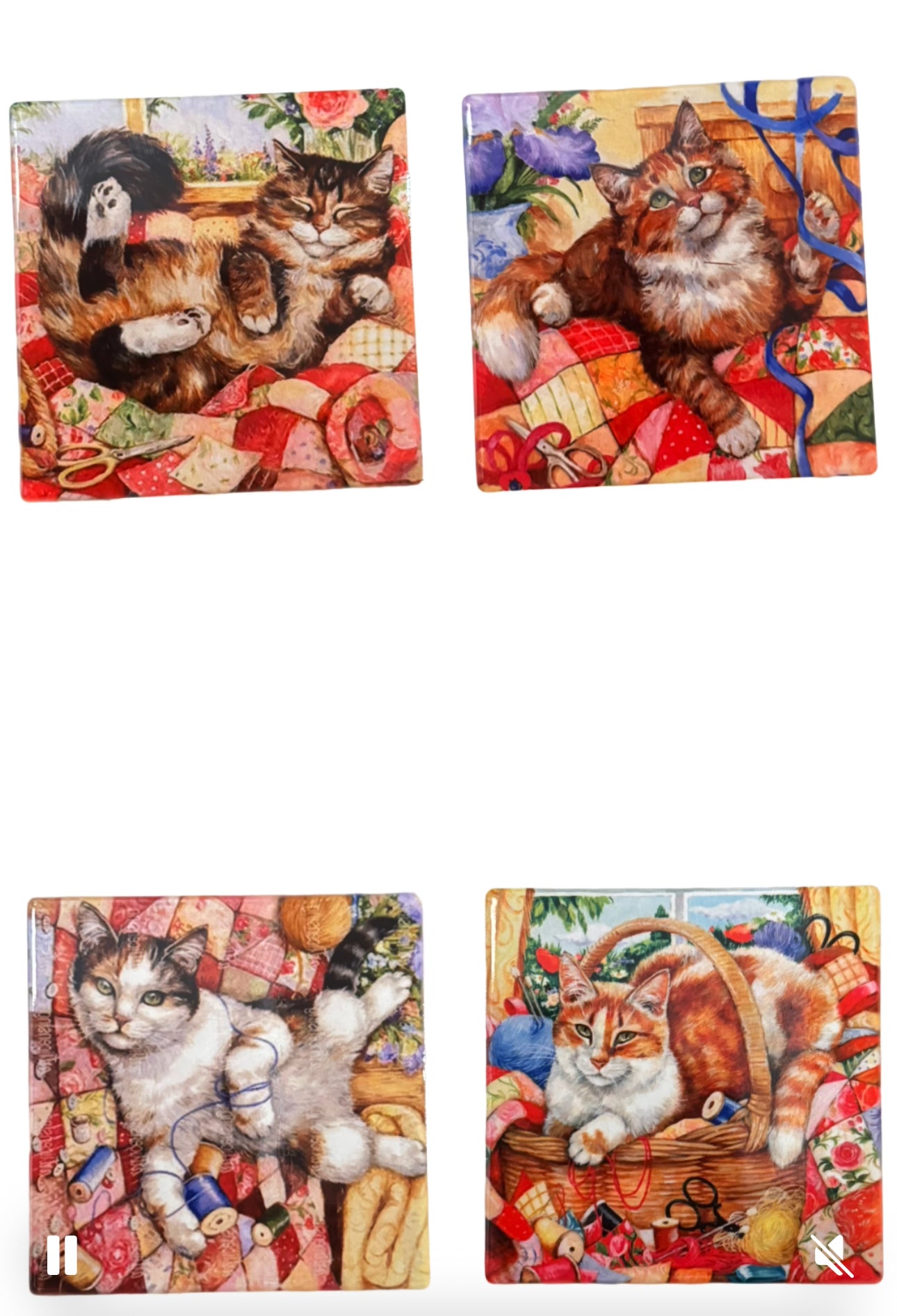 Cat Ceramic Coasters - Set of 4
