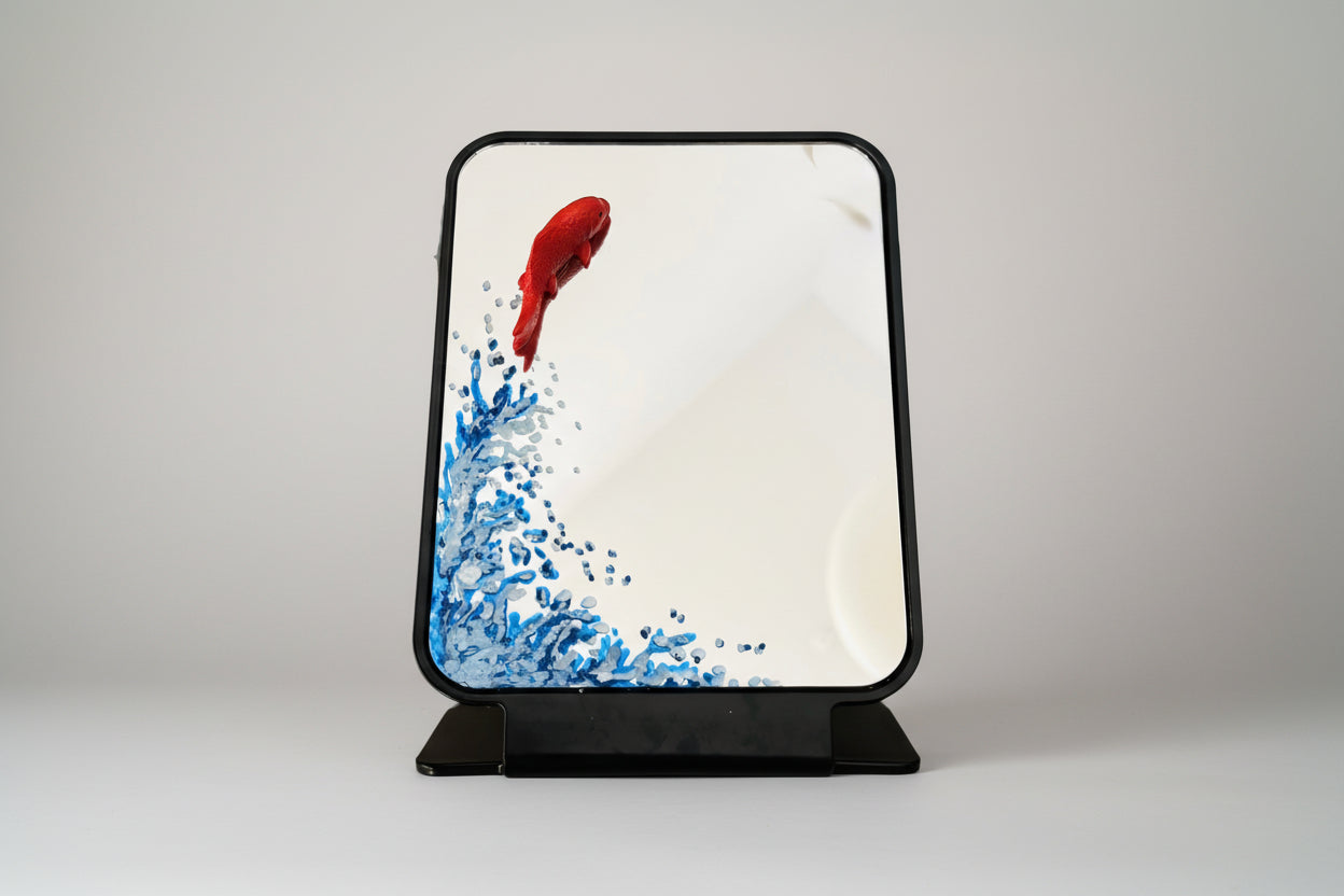 Fish Out of Water Mirror