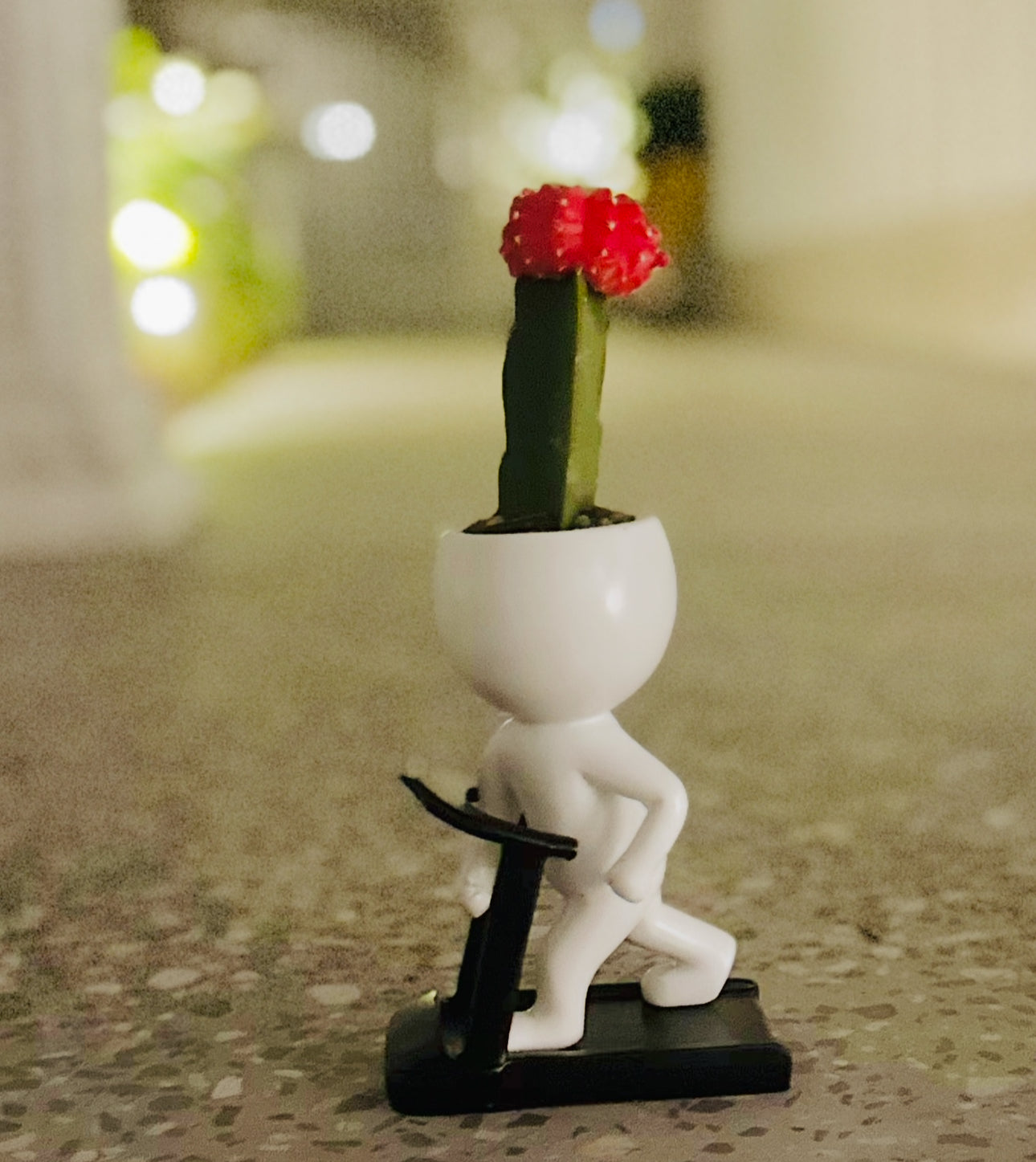 Cactus Jogger on Treadmill Plant