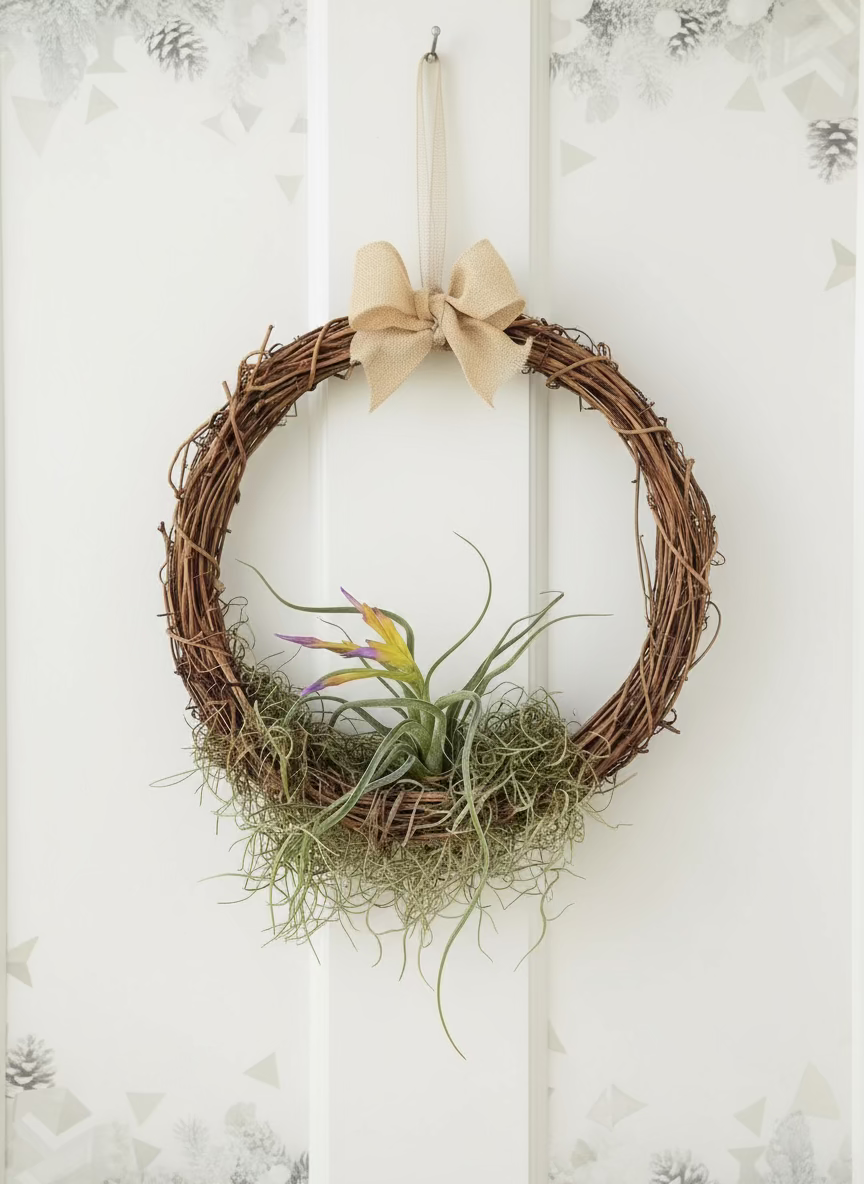 Air Plants Wreath 30cm