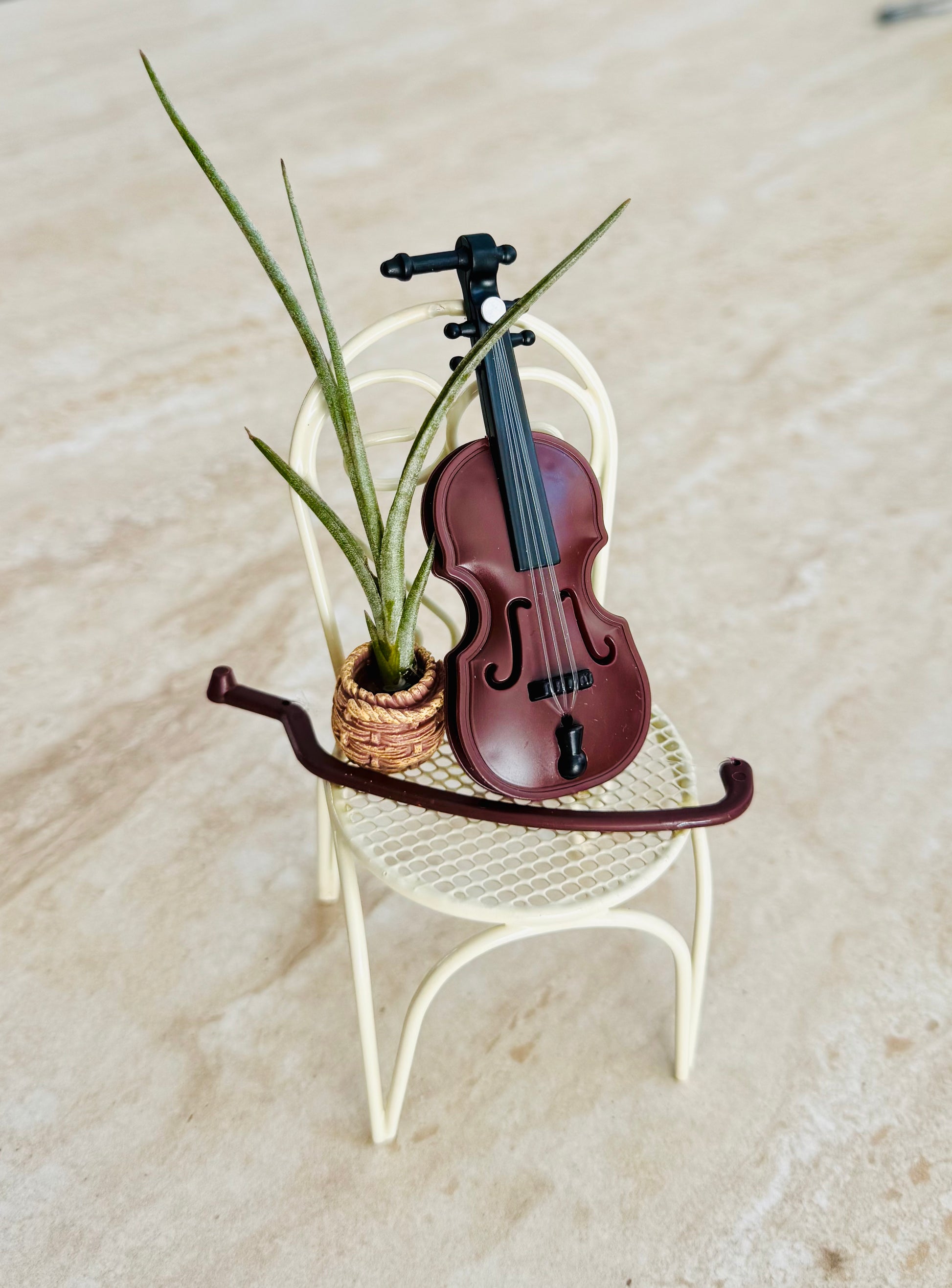 Violin Air Plant