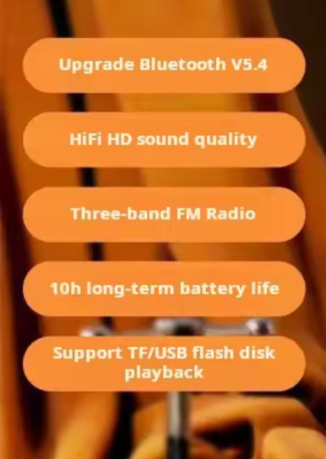 Portable FM Radio Bluetooth Speaker