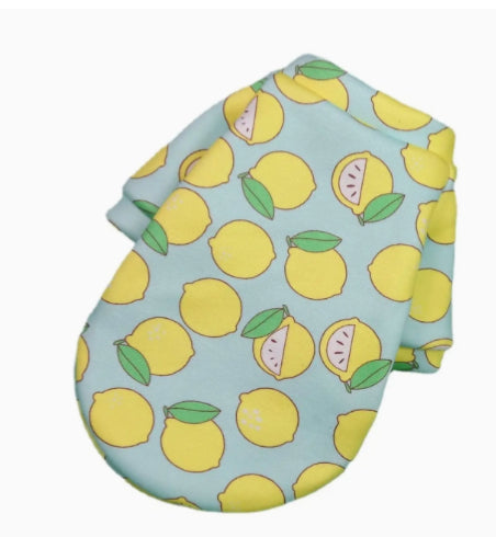 Lemon dog coat