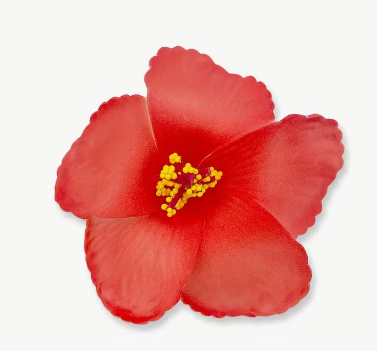 Pince à cheveux hibiscus