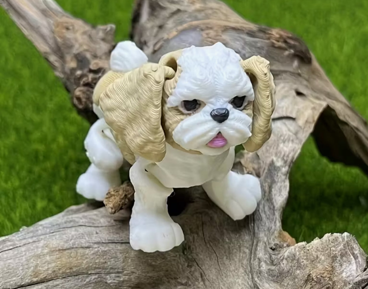 Dog fidget toy