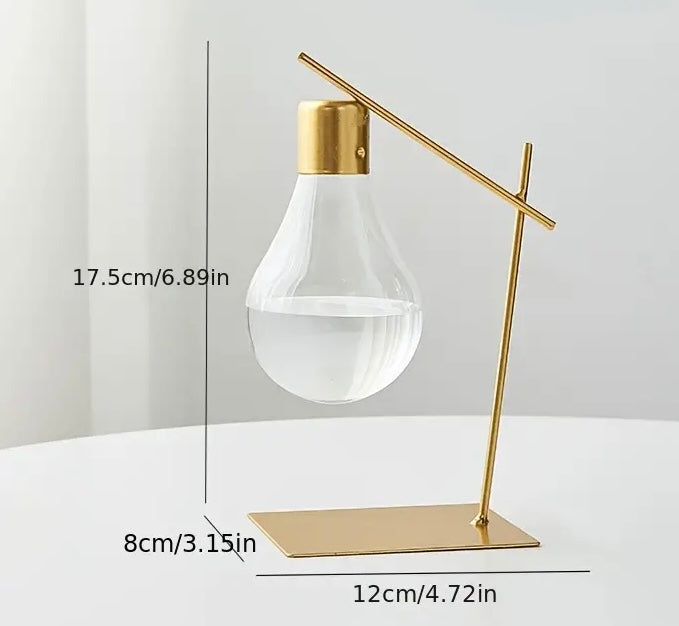 Hydroponic Light bulb vase