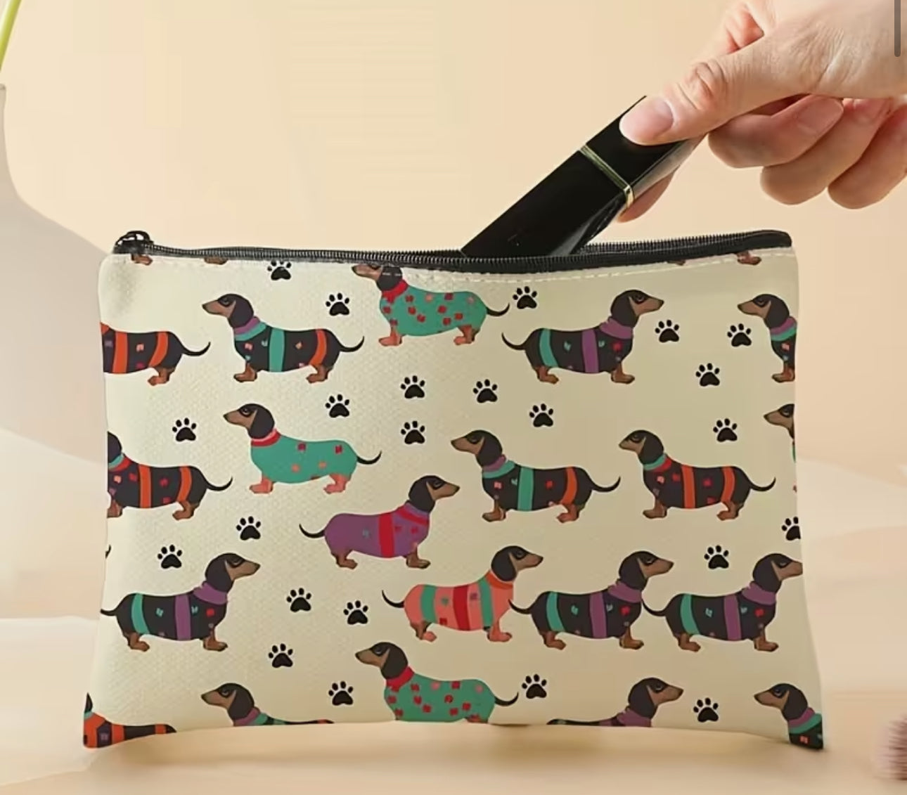 Dachshund in Sweaters Pouch