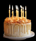 Natural Beeswax Birthday Cake Candle