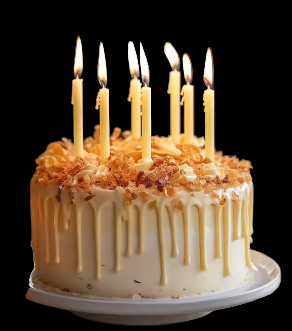 Natural Beeswax Birthday Cake Candle