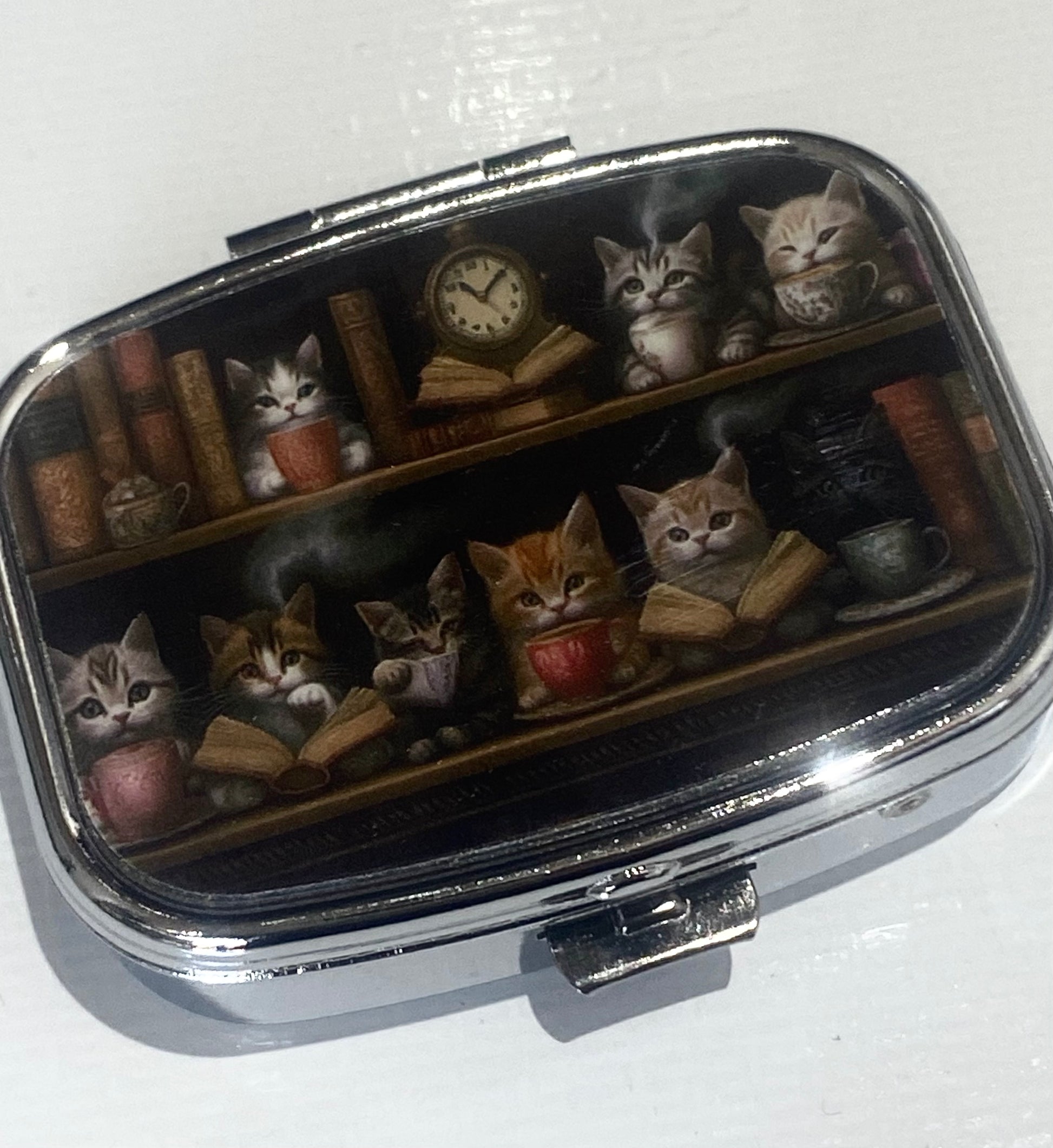 Cat Pill Box