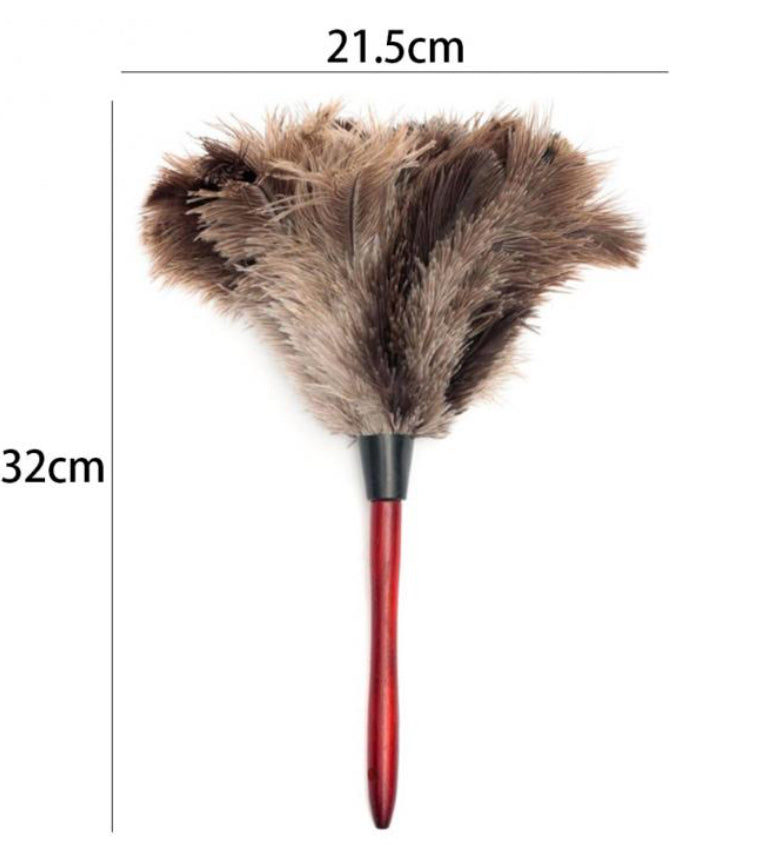 Real ostrich feather with wood handle duster