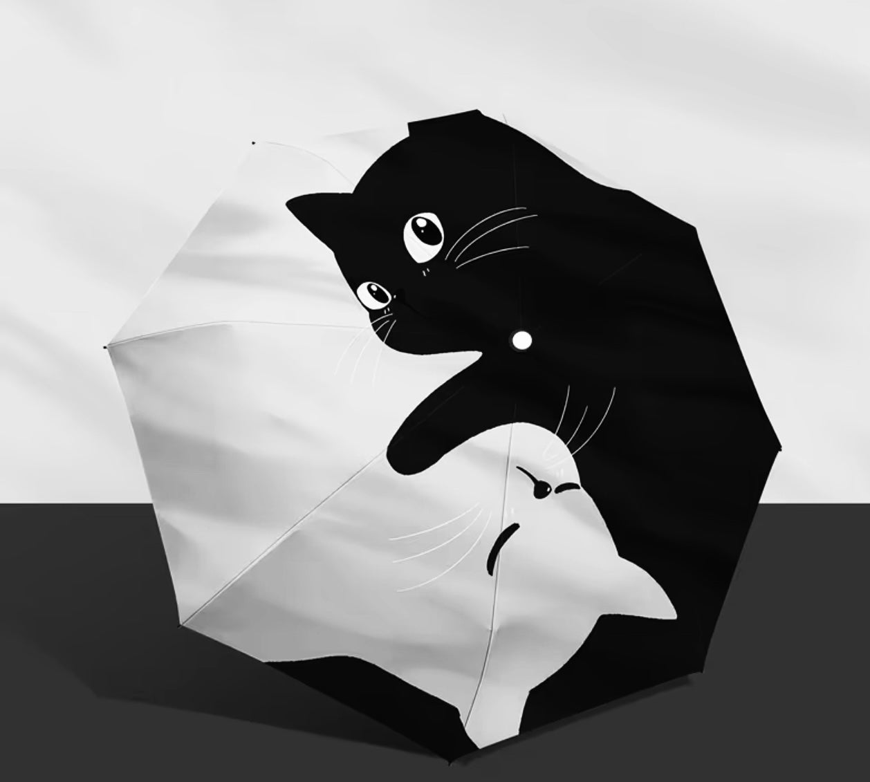 Parapluie chat noir et blanc