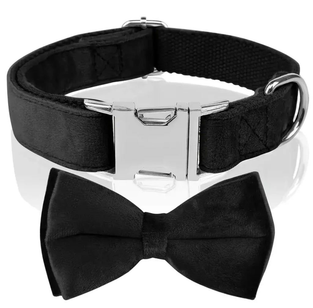 Collier pour chien en velours avec nœud amovible