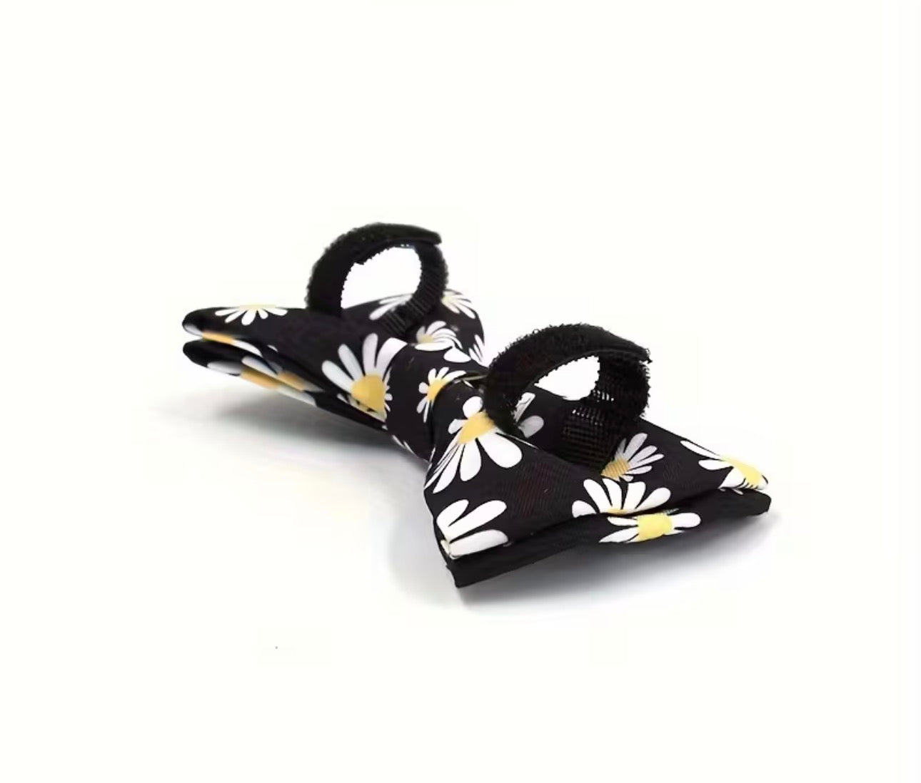 Daisy Collar, Bow with Leash (Set of 4)