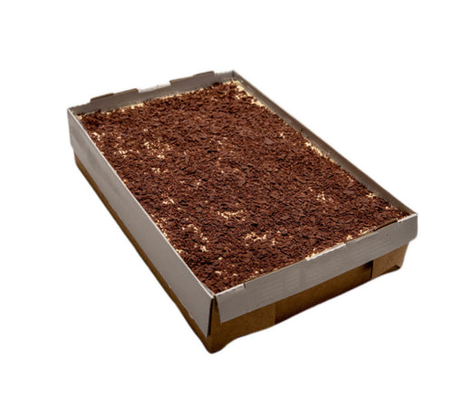 Tiramisu Slab (Require 48hrs notice)
