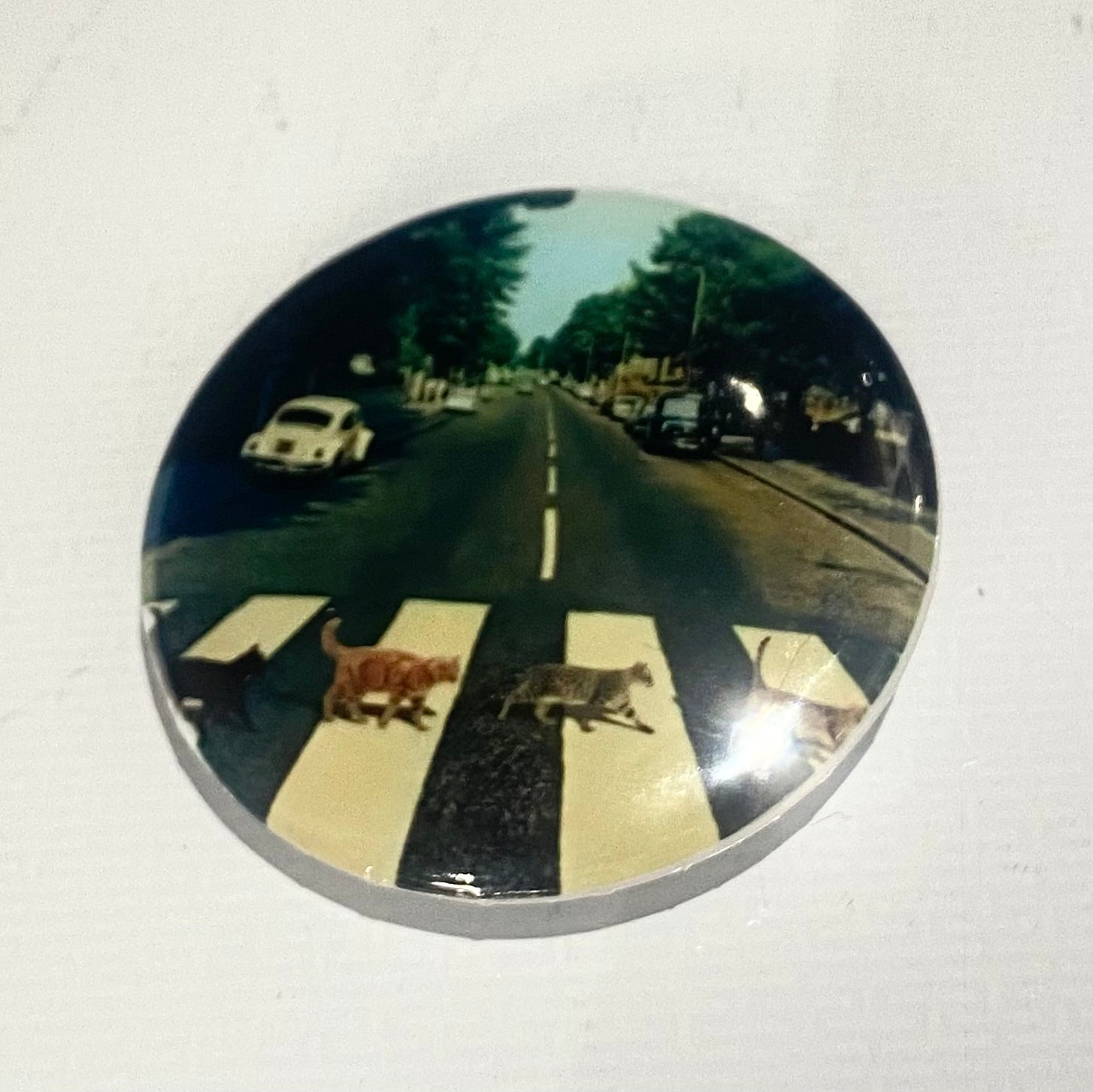 Beatles Abby Road with Cats badge