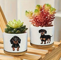 Pot de fleurs en céramique pour plantes grasses Teckel - Petit
