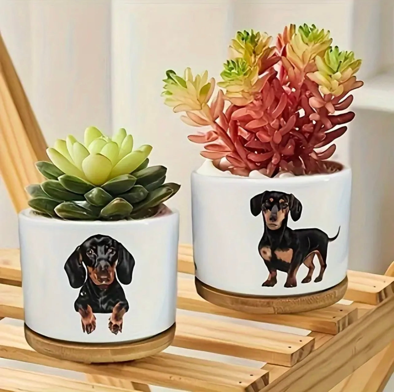 Dachshund Ceramic Succulent Planter Pot - Small