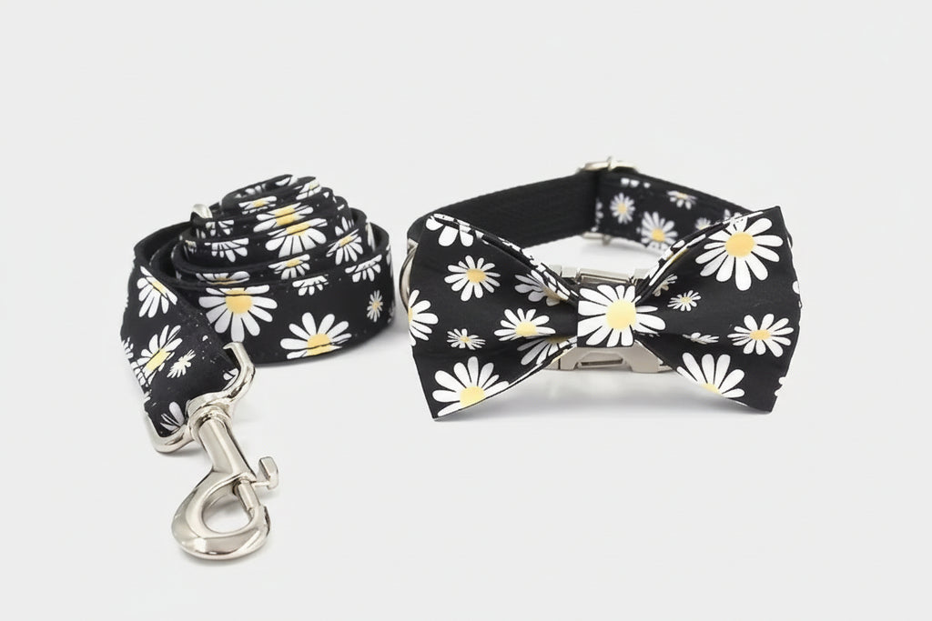 Daisy Collar, Bow with Leash (Set of 4)