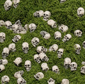 Mini Resin Skull