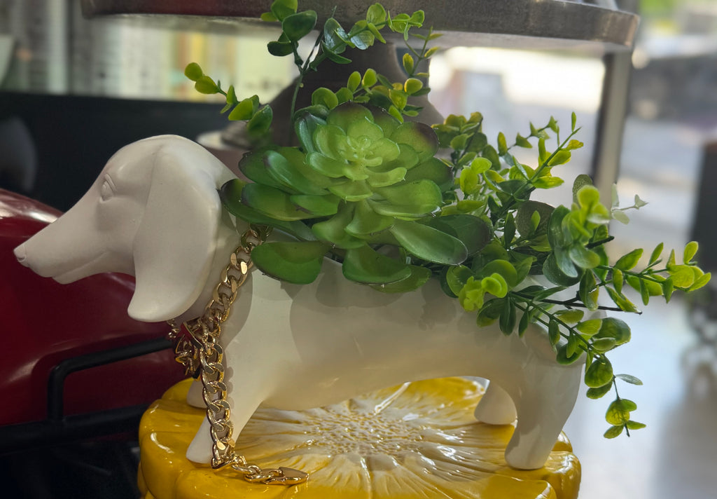 Pot de fleurs teckel avec chaîne dorée et verdure