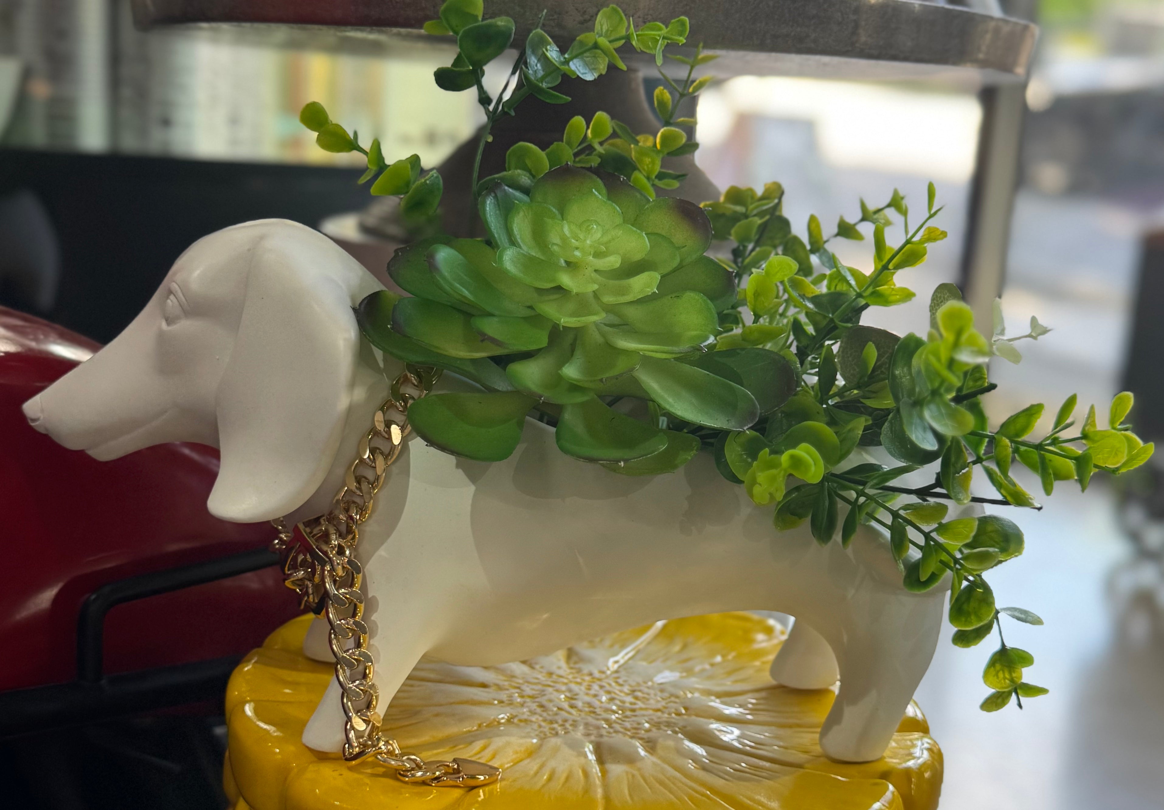 Dachshund Planter Pot with Gold Chain & Greenery