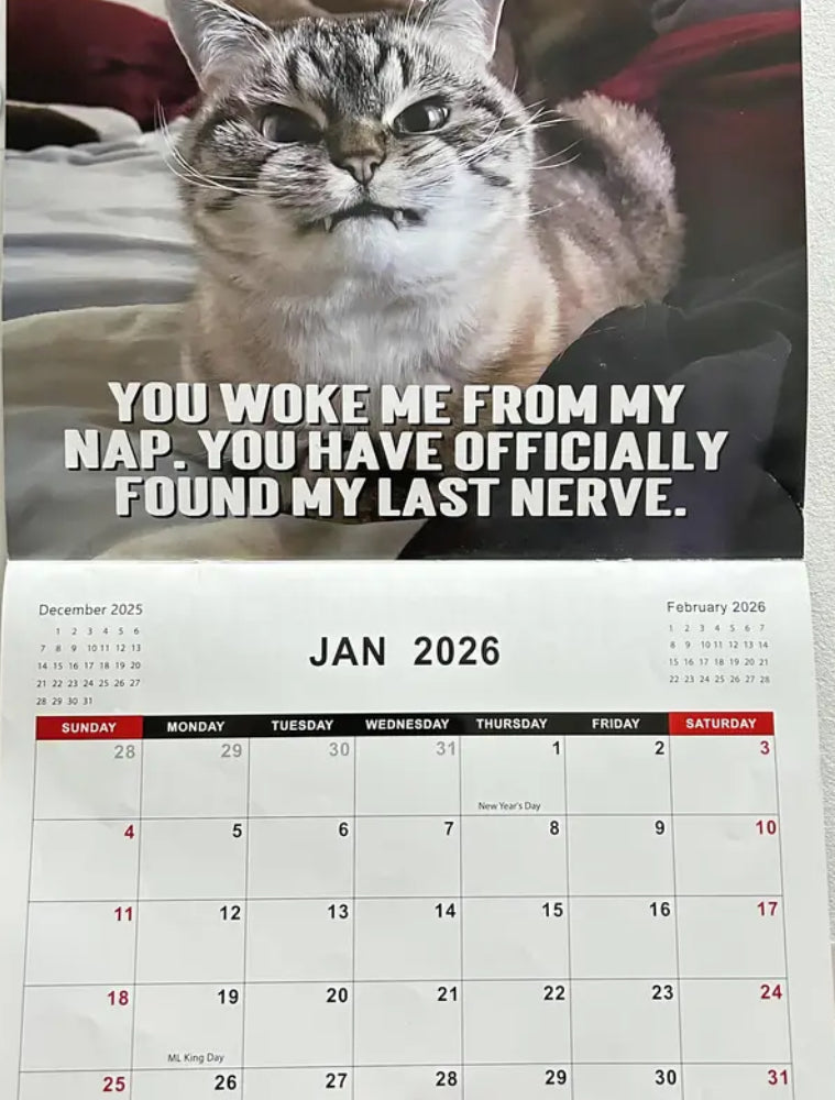 2026 Pissed-Off Cats Calendar