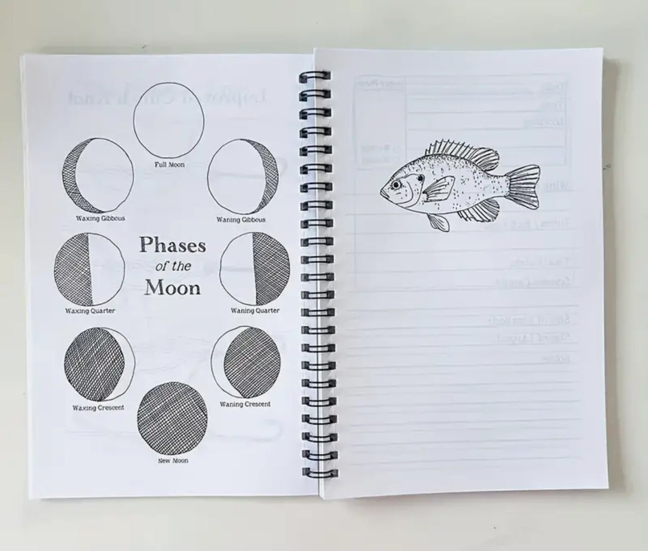 Fishing Logbook
