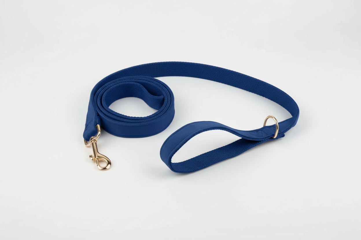Velvet Leash