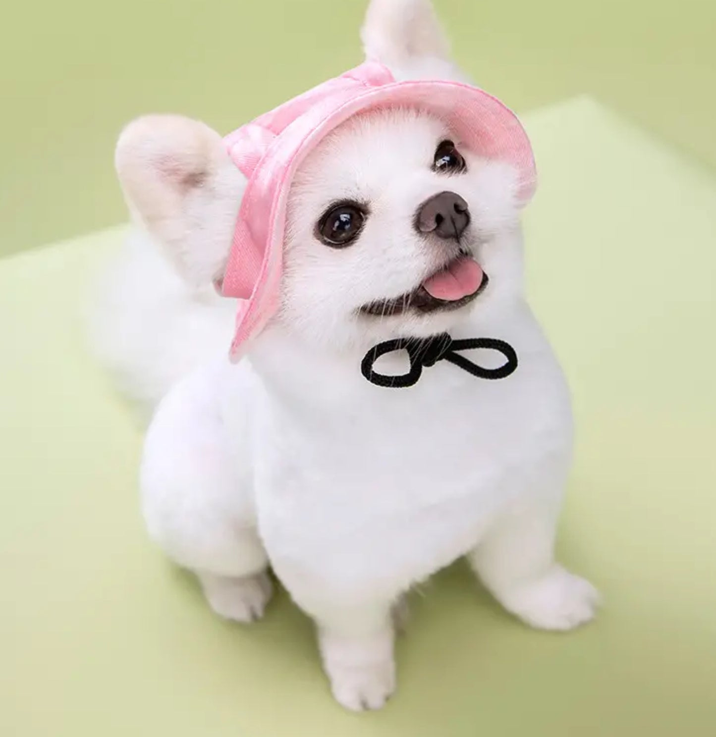 Pink Pet Hat