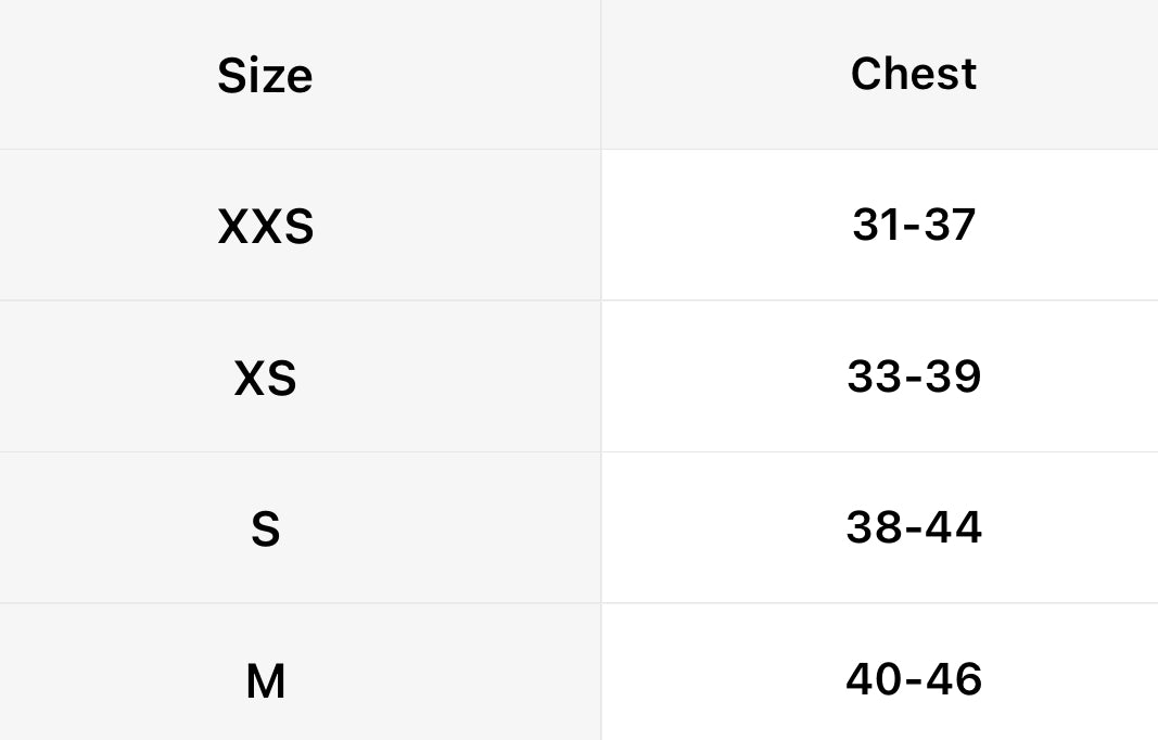 Dinosaur Harness and leash set