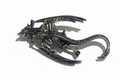 Dragon Brooch