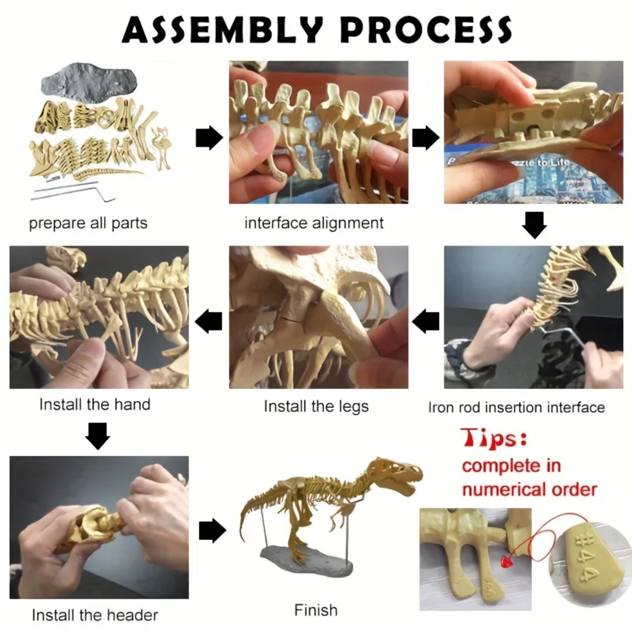 Puzzle 3D T-Rex