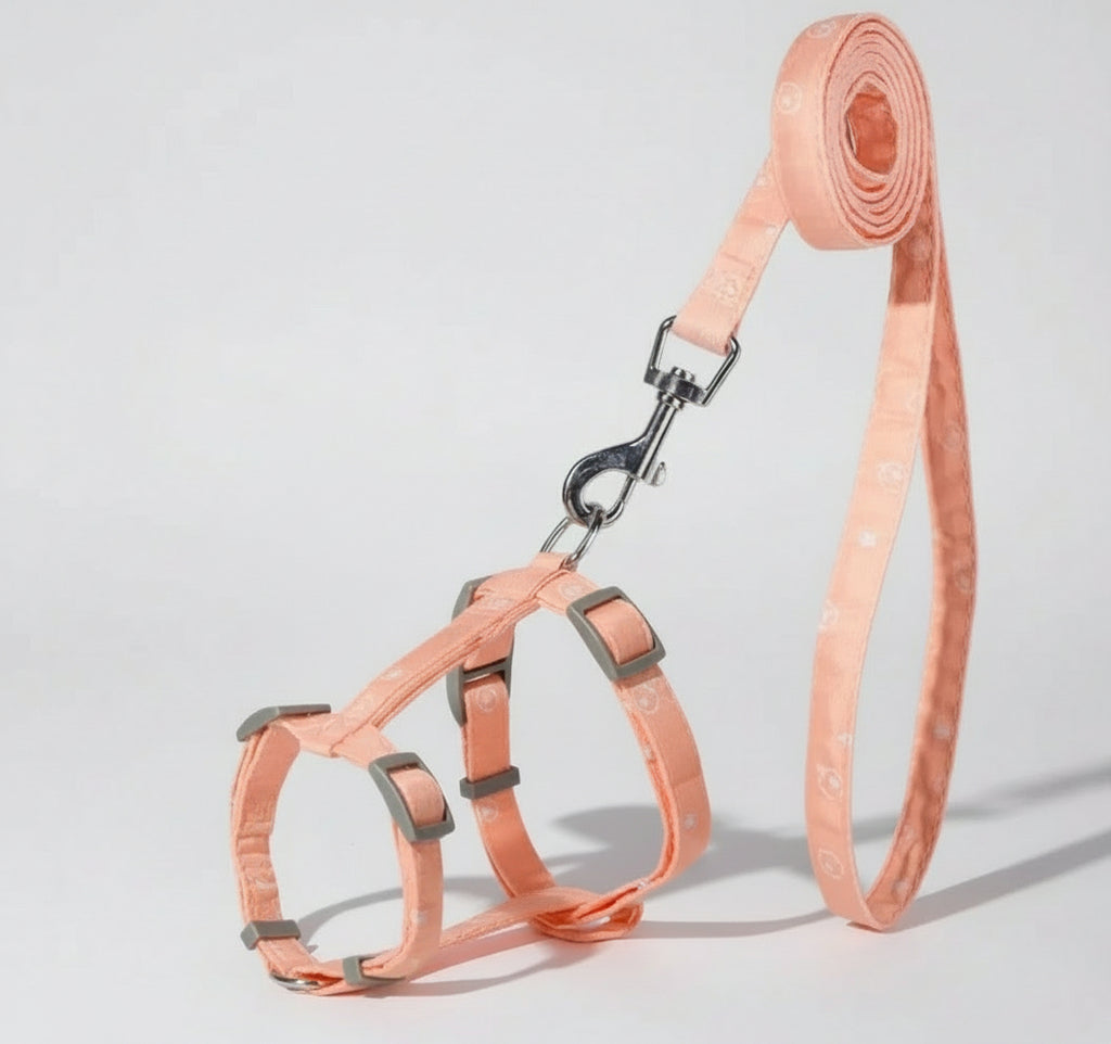 Dog/Cat harness with angel wings and leash set