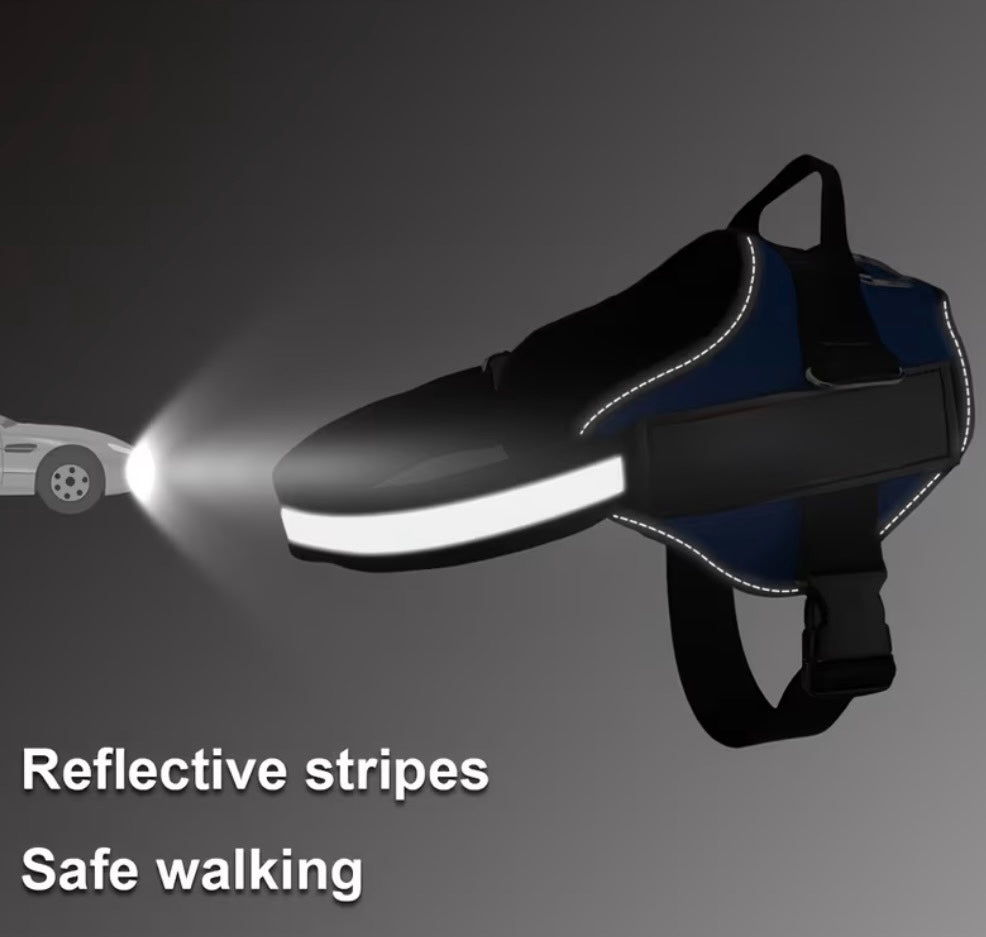 “Security Dog” Dog Harness