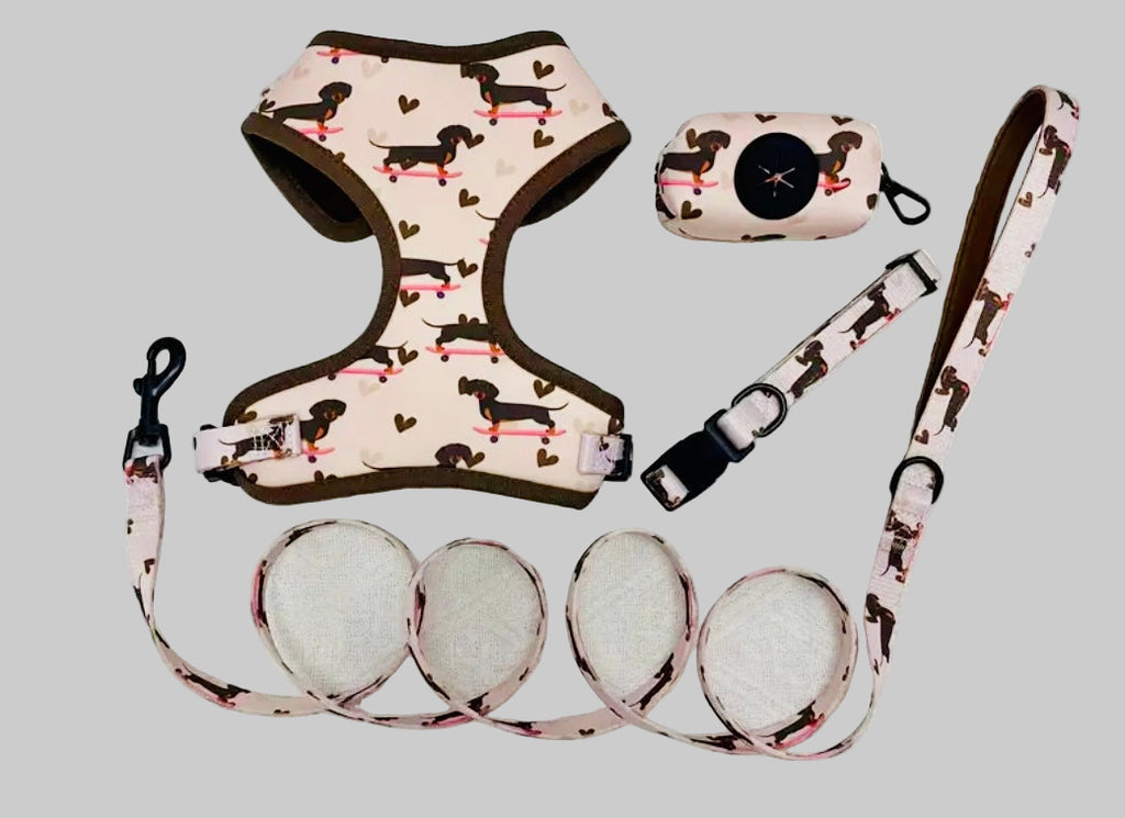 Dachshund Print Harness & leash set (4 pieces)