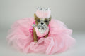 Bulldog in Pink Tutu