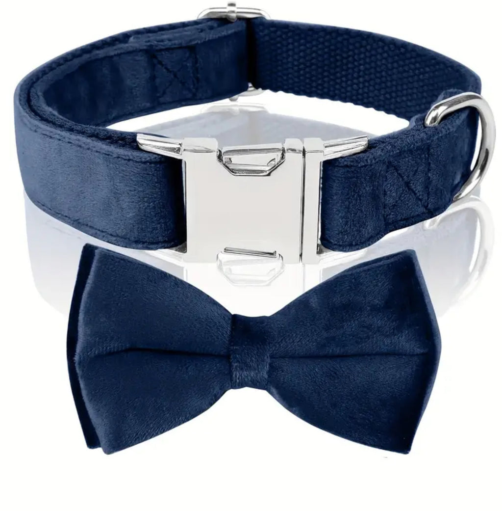 Collier pour chien en velours avec nœud amovible